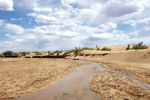 Zulganai Oasis