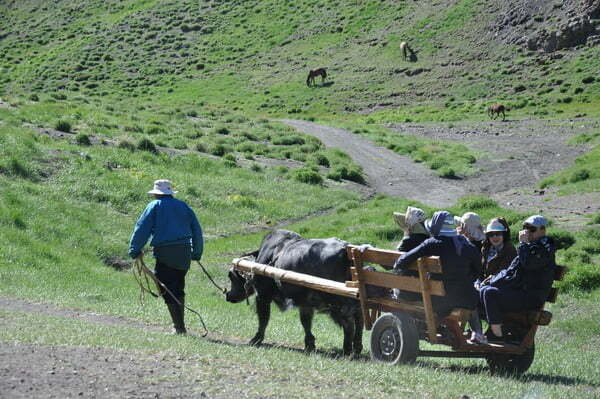 Taxi in Mongolia