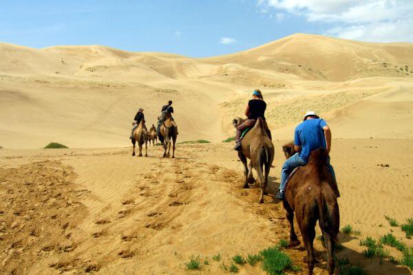 Best of Gobi Desert