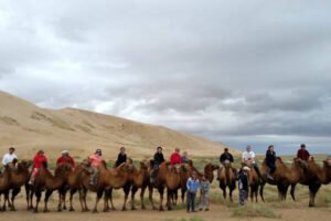 Camel Trek in Gobi