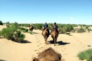 Camel Trip Mongolia