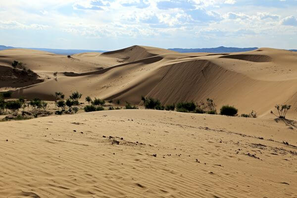 Best of Altai Tavan Bogd National Park 25 Khongoryn Els