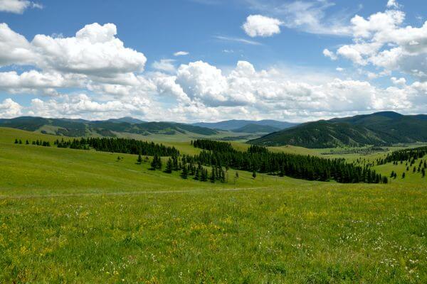 Central Mongolian Grassland