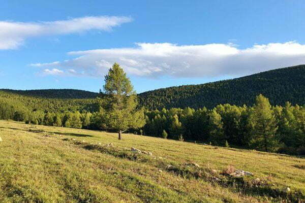 Mountain Mongolia