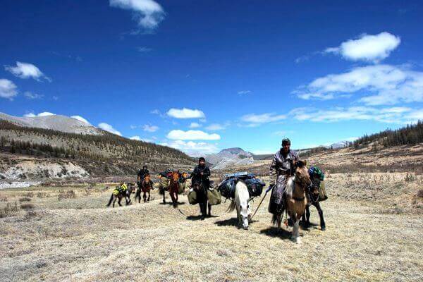 Horse riding in North