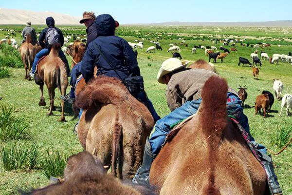 Camel Riding