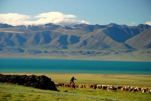 Best of Altai Tavan Bogd National Park 30 Mongolia Herder