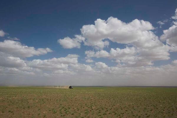 Steppe Mongolia