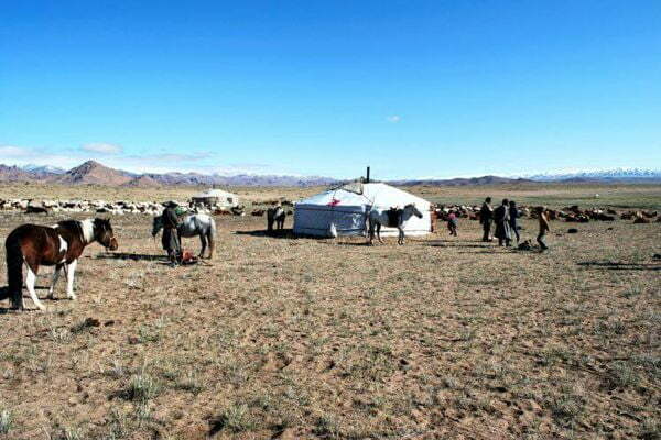Steppe Mongolia