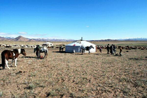 Best of Altai Tavan Bogd National Park 26 Steppe Mongolia