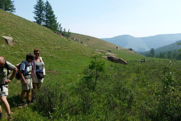 Trekking in Forest