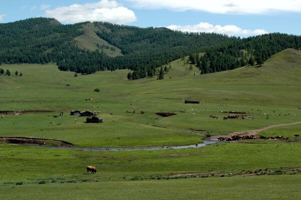 Summer Mongolia