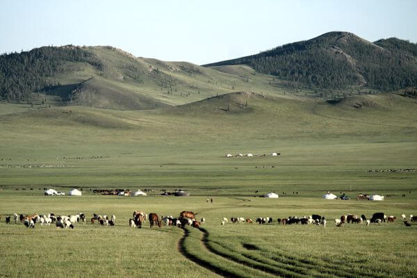 Central Mongolia