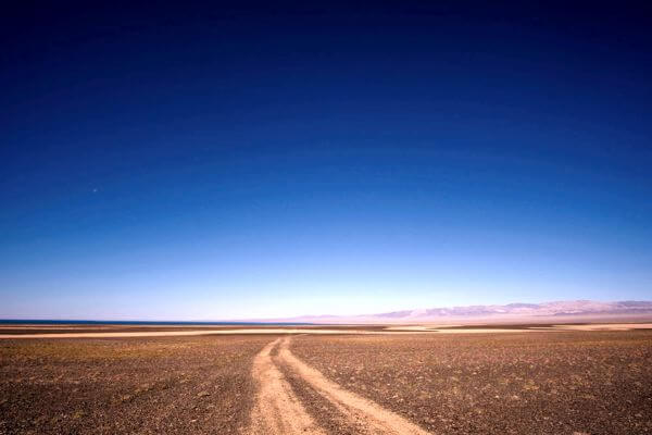 Mongolian Steppe