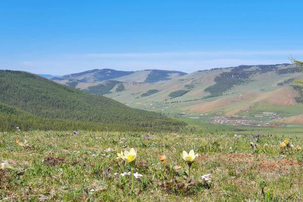 Gorkhi Terelj National Park