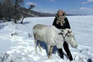 Reindeer Mongolia